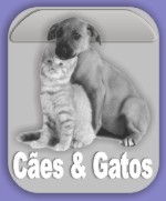 Produtos para Cães e Gatos